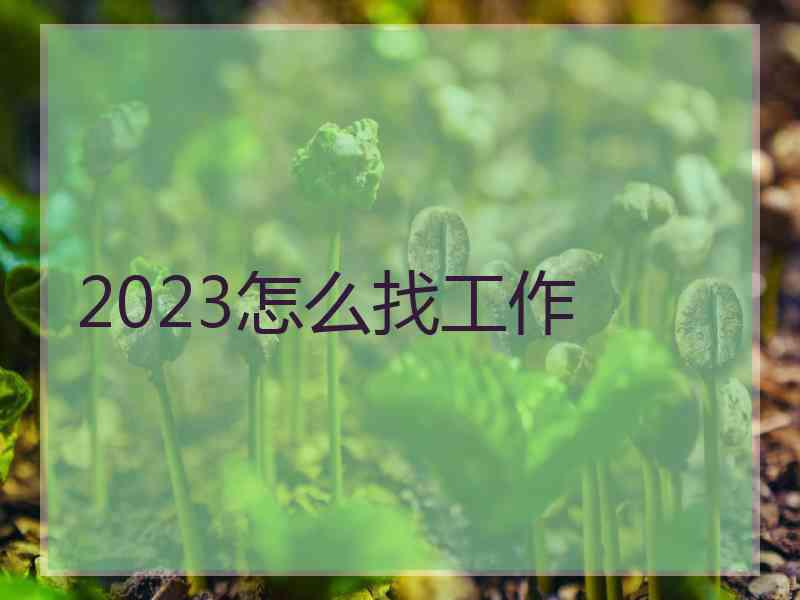 2023怎么找工作