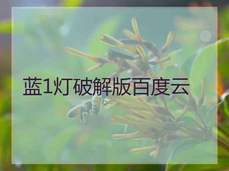 蓝1灯破解版百度云