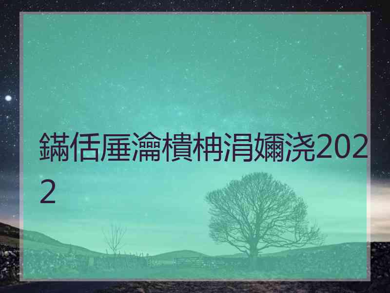 鏋佸厜瀹樻柟涓嬭浇2022