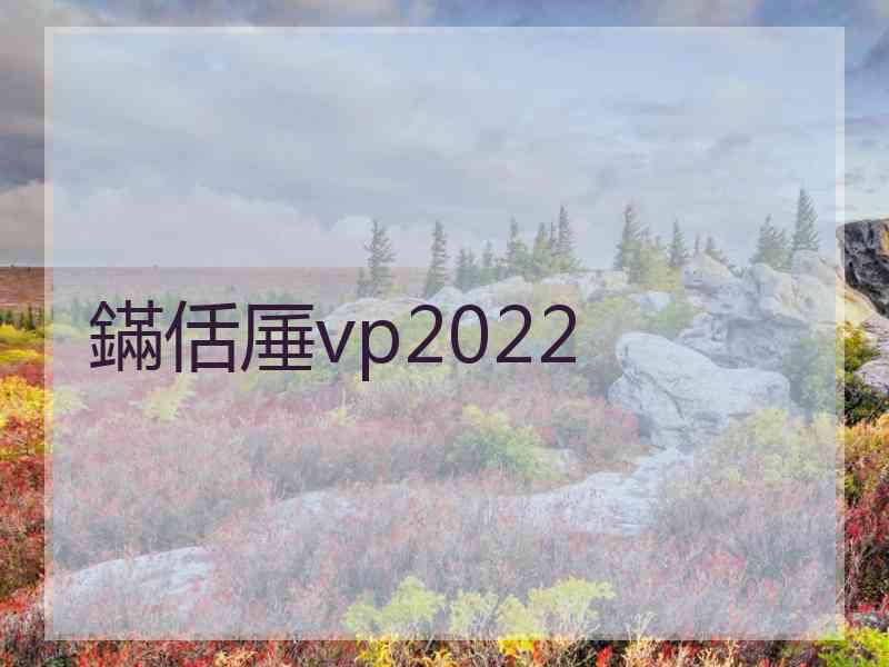 鏋佸厜vp2022