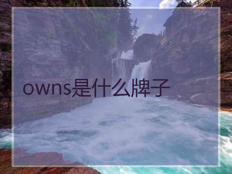 owns是什么牌子