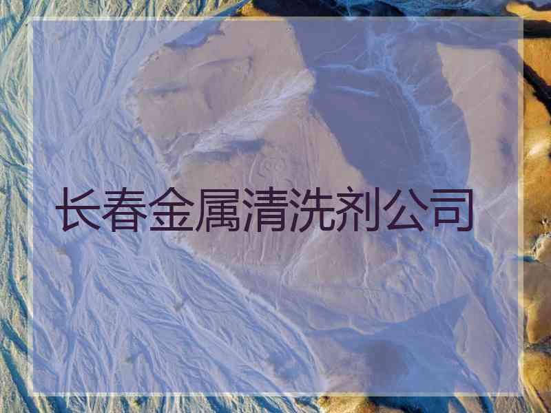 长春金属清洗剂公司