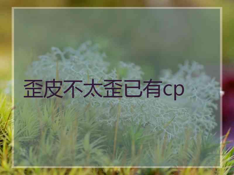 歪皮不太歪已有cp