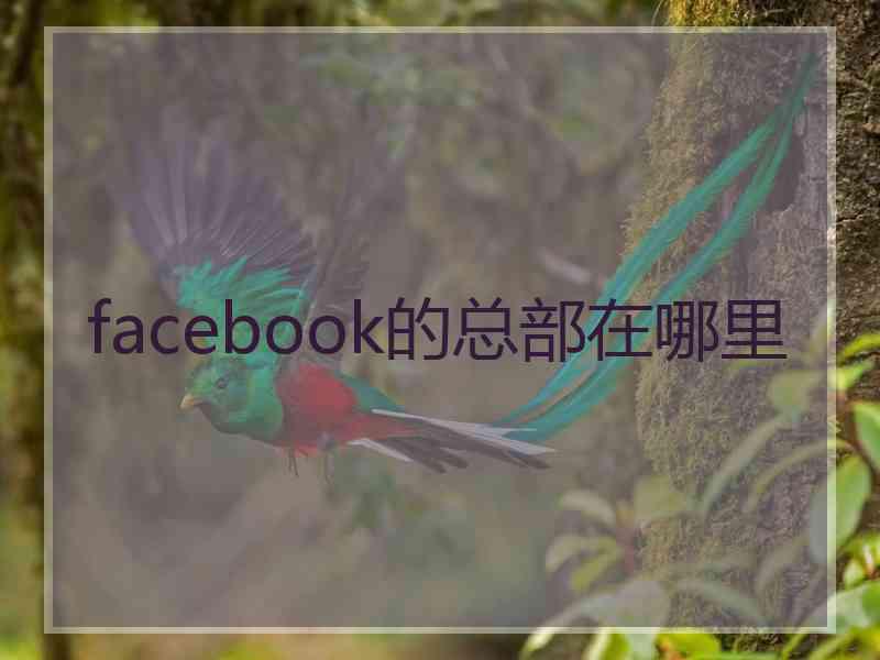 facebook的总部在哪里