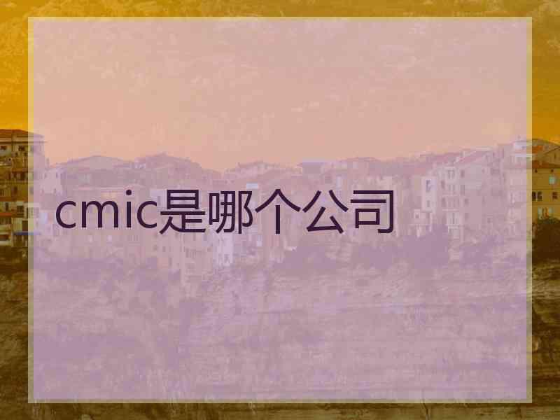 cmic是哪个公司