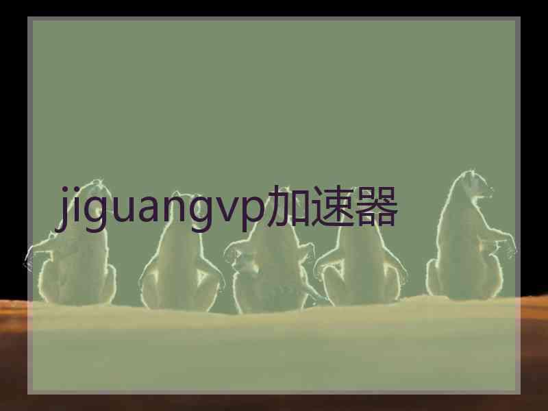 jiguangvp加速器