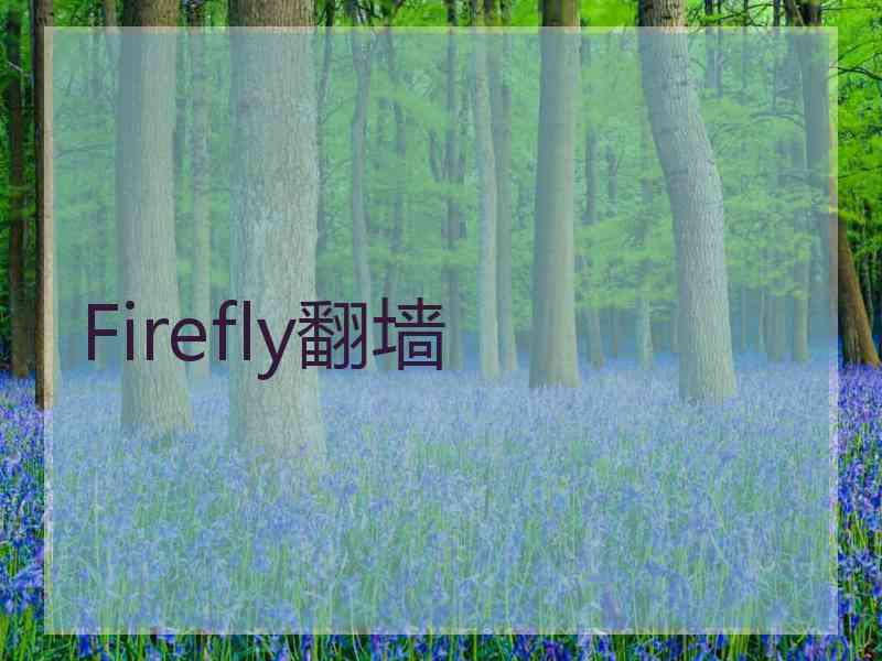 Firefly翻墙