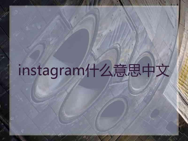 instagram什么意思中文