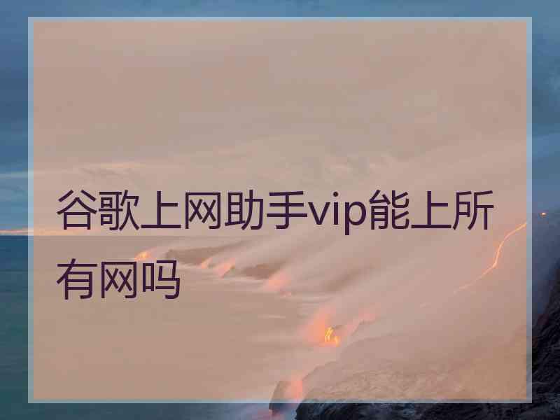 谷歌上网助手vip能上所有网吗