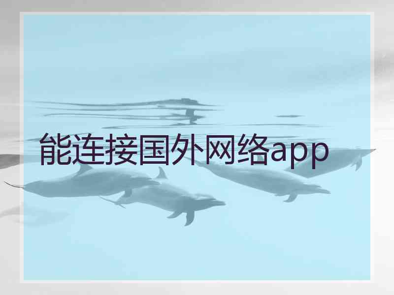 能连接国外网络app