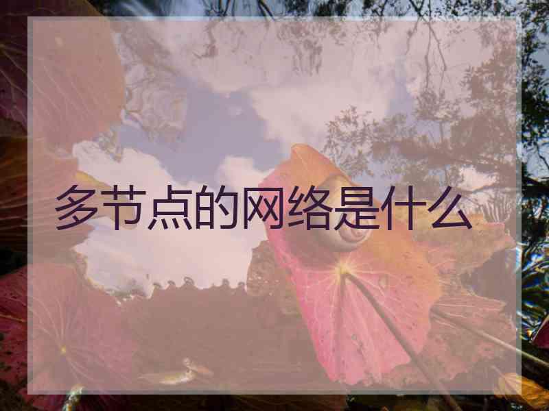 多节点的网络是什么