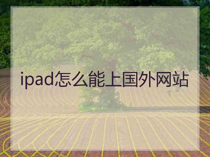 ipad怎么能上国外网站