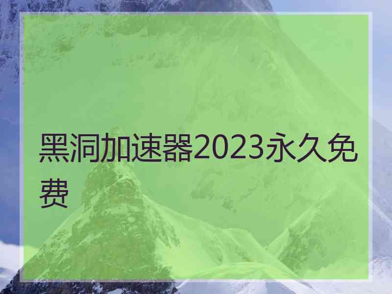 黑洞加速器2023永久免费